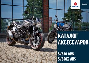 SV650