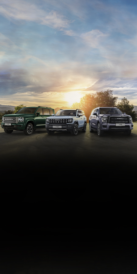 Подготовка внедорожника Haval Pro к зиме: как сделать поездки комфортными и безопасными