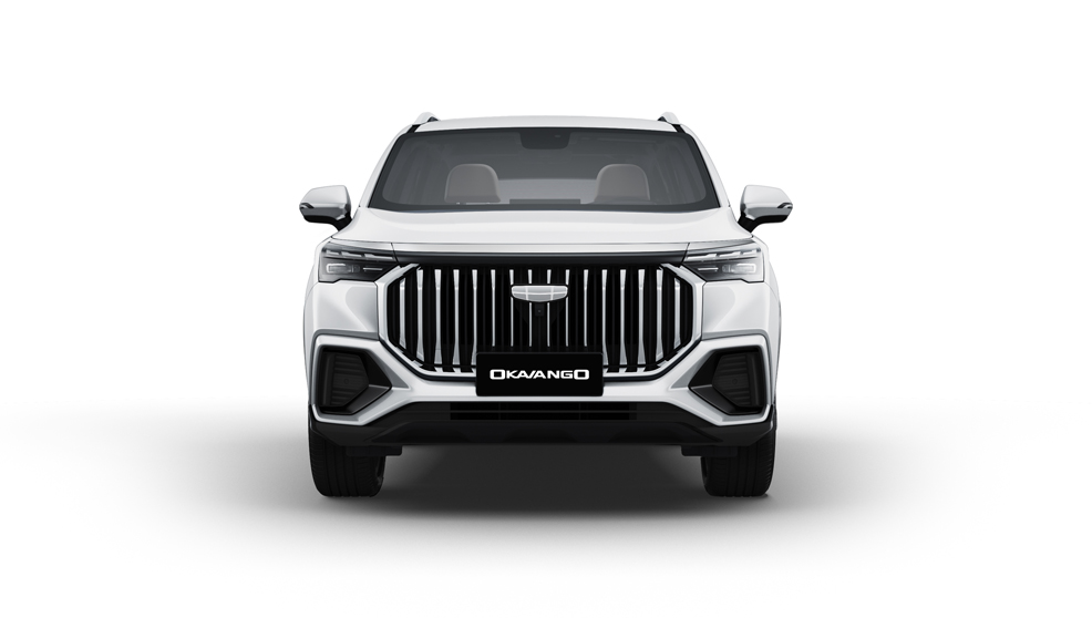 OKAVANGO SX45