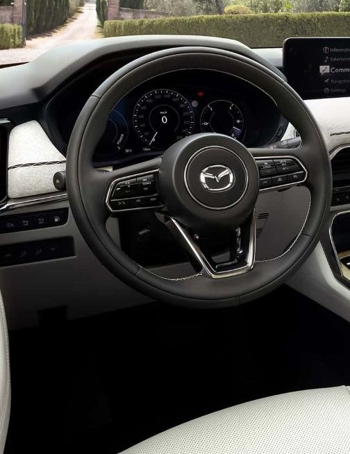 Диагностика MAZDA