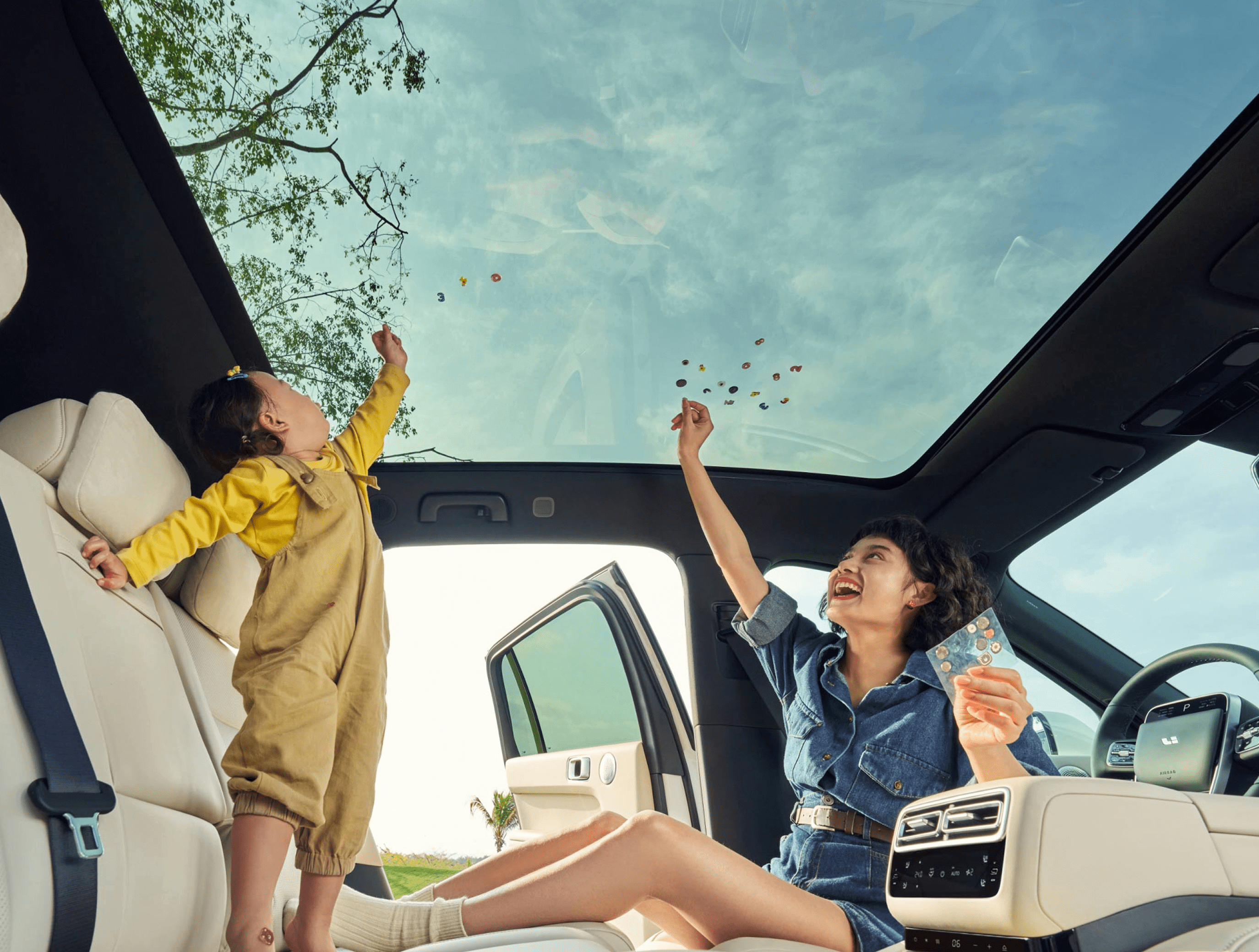 Панорамная крыша