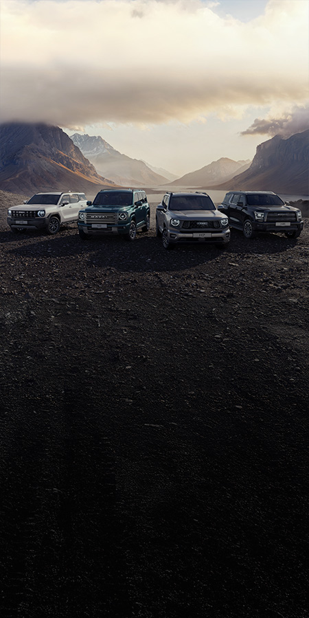 Бренд-дни</br>HAVAL PRO