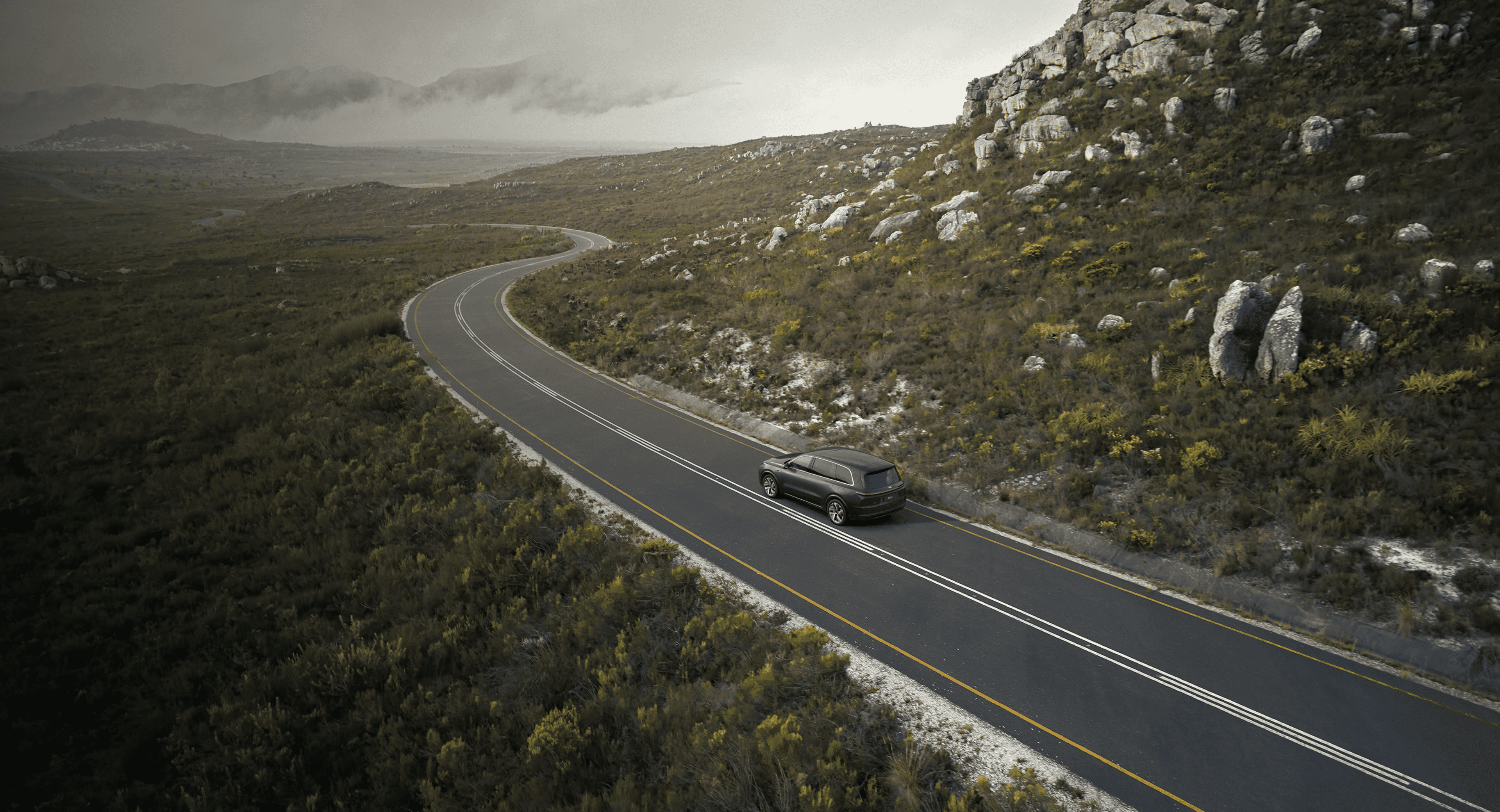 REEV-платформа