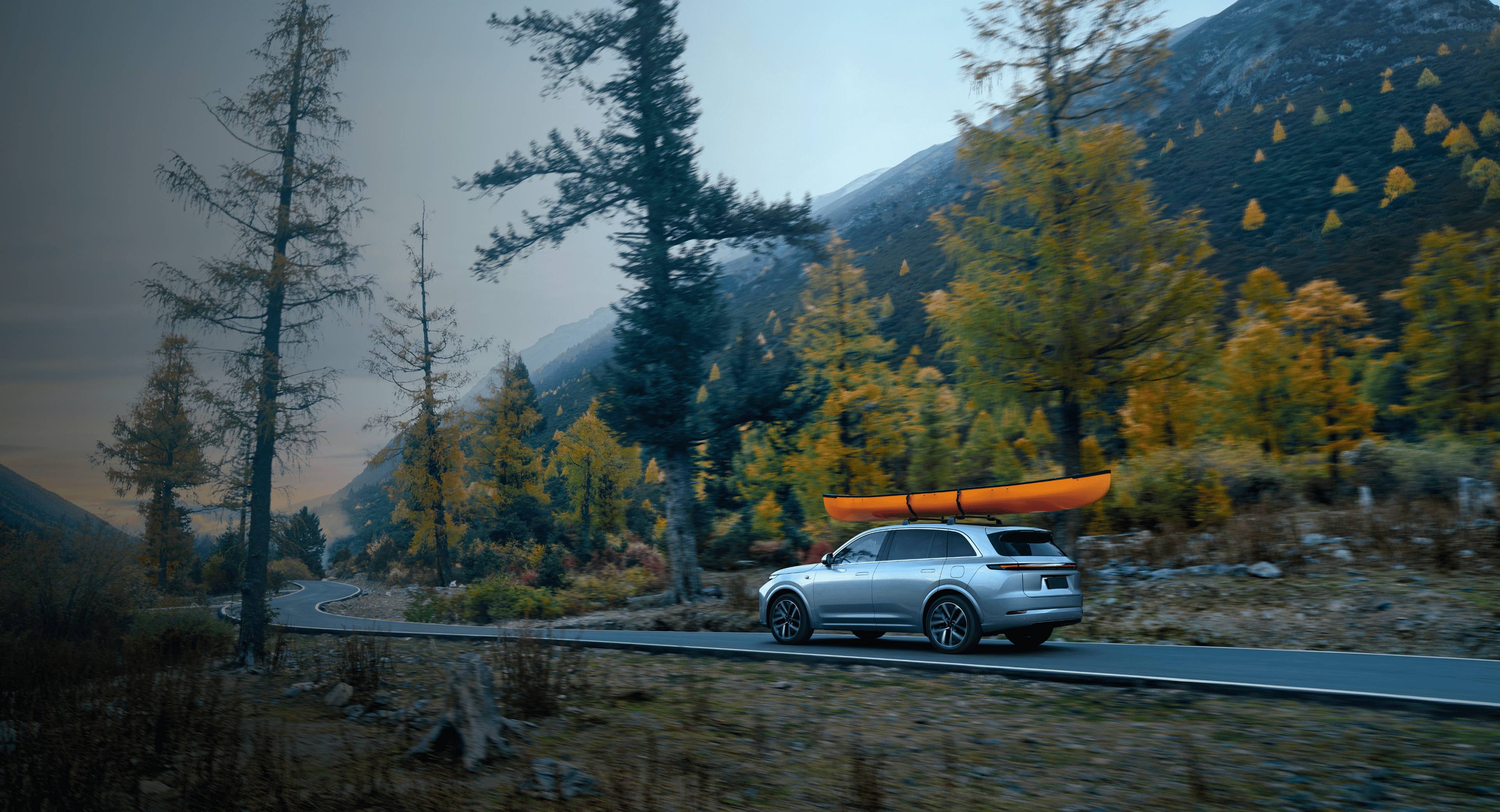 REEV-платформа