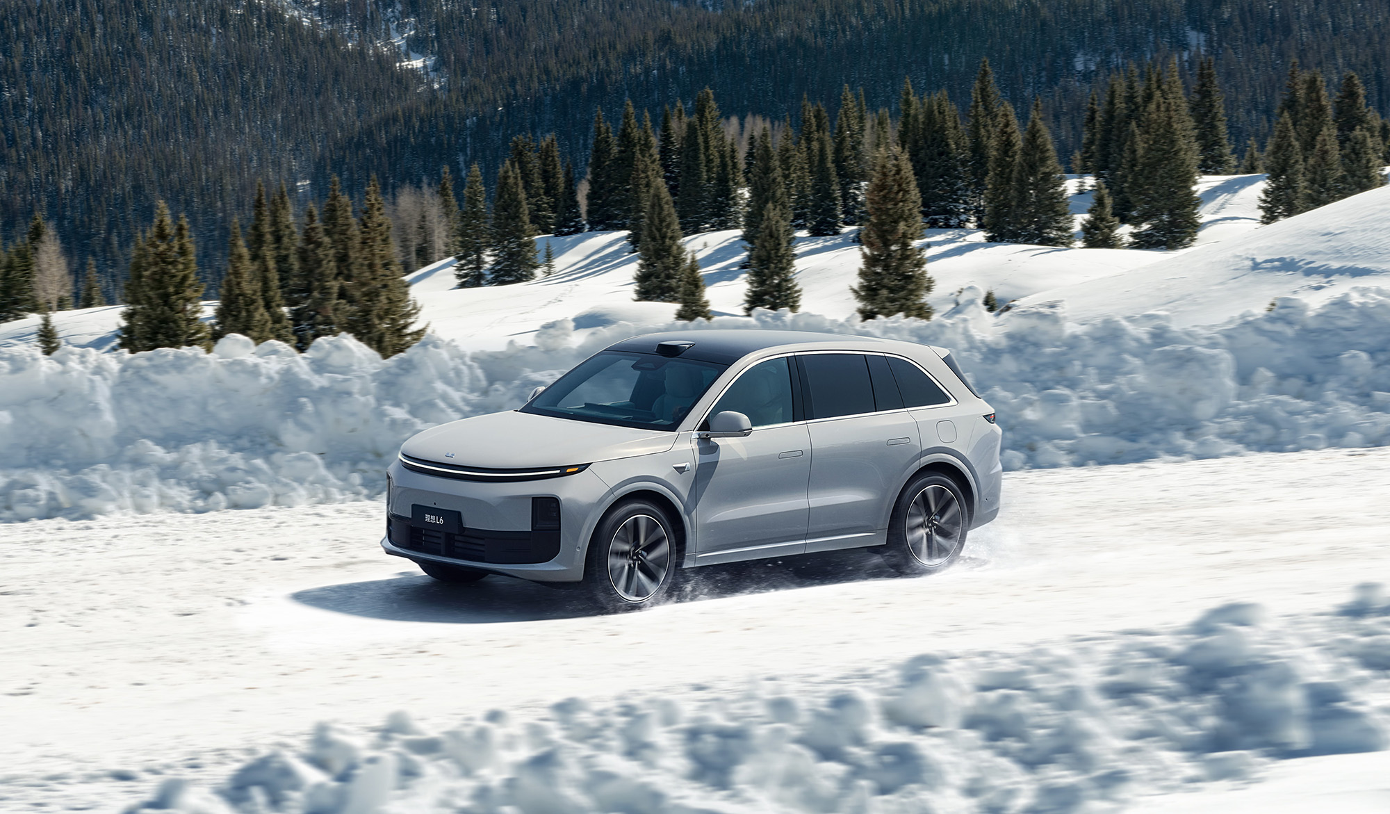 Бесплатная зимняя диагностика Li Auto – только в авторизованных дилерах Li Auto!