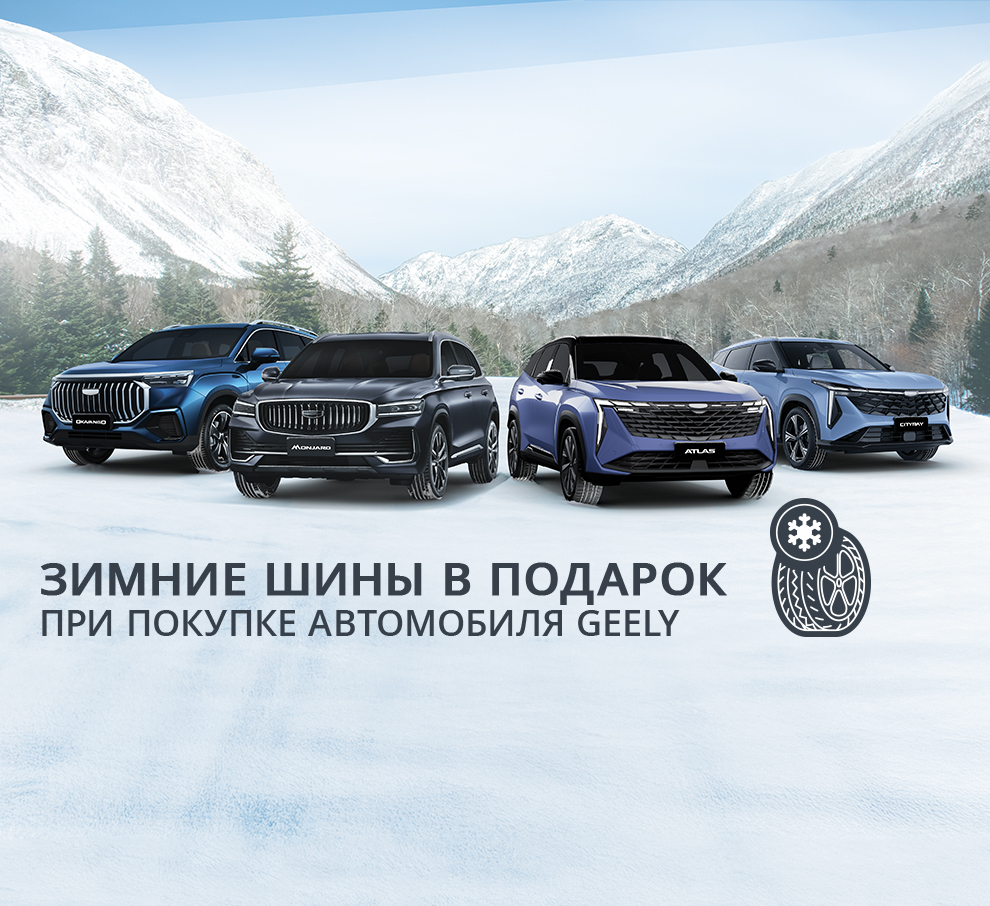 Зимние шины в подарок