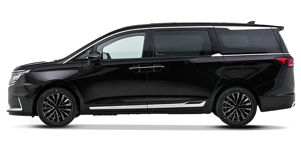 Черный жемчуг