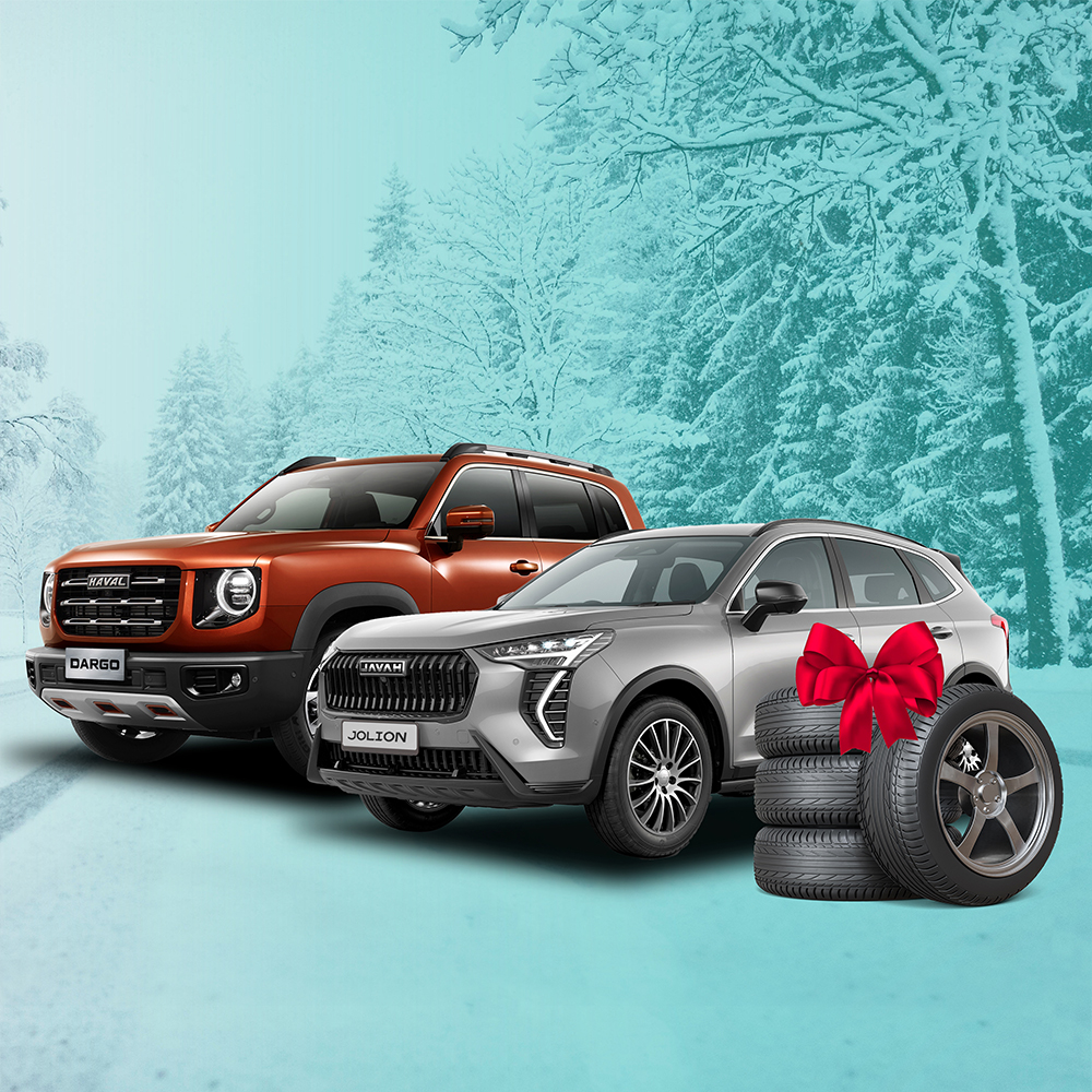 Только в декабре — дарим комплект зимних шин в подарок!