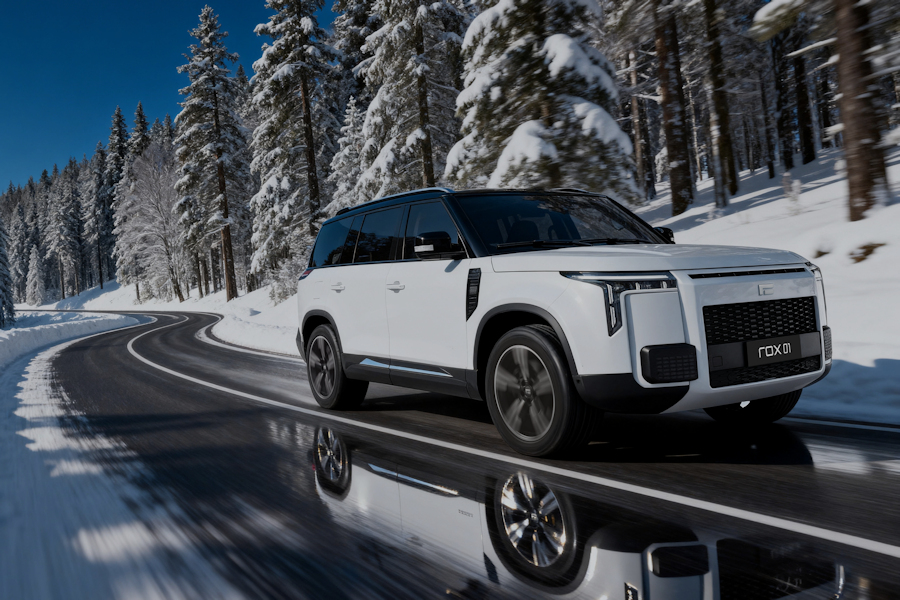 <h1>ROX INSURANCE</h1>