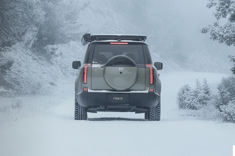 <h1>ROX ASSISTANCE</h1>