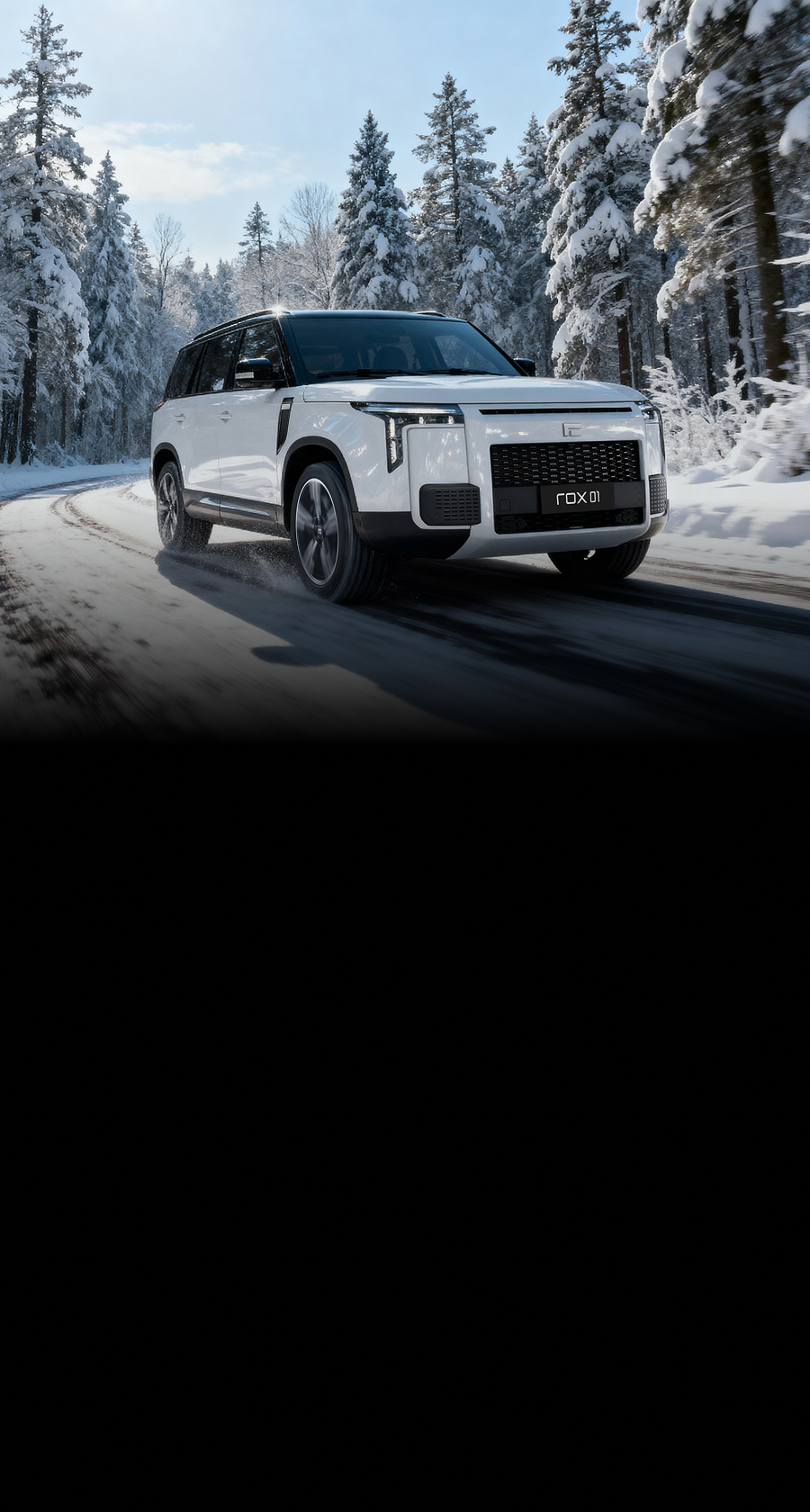 <b><small>ROX 01 <br>Дико крутой</small></b>