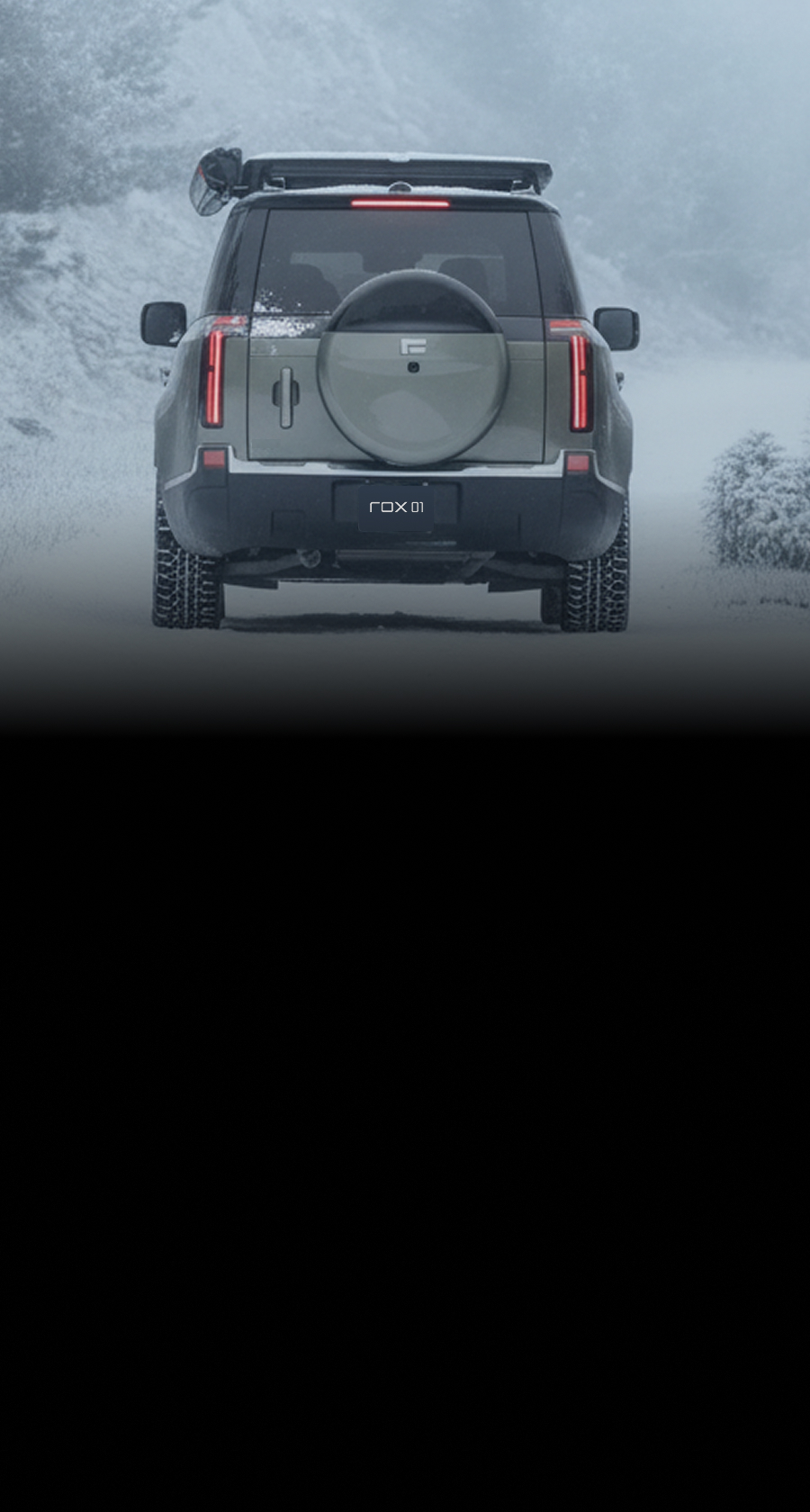 <b><small>ROX ASSISTANCE – уверенность в каждом километре пути</small></b>