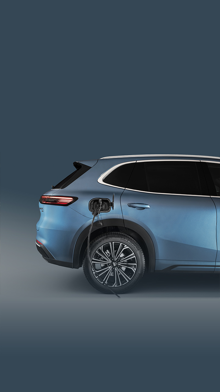 Зарядка и аксессуары для электромобилей и гибридов