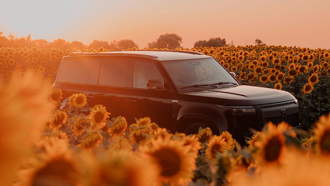 ROX Motor «к отпуску готов»: два дилерских предприятия открылись на юге России