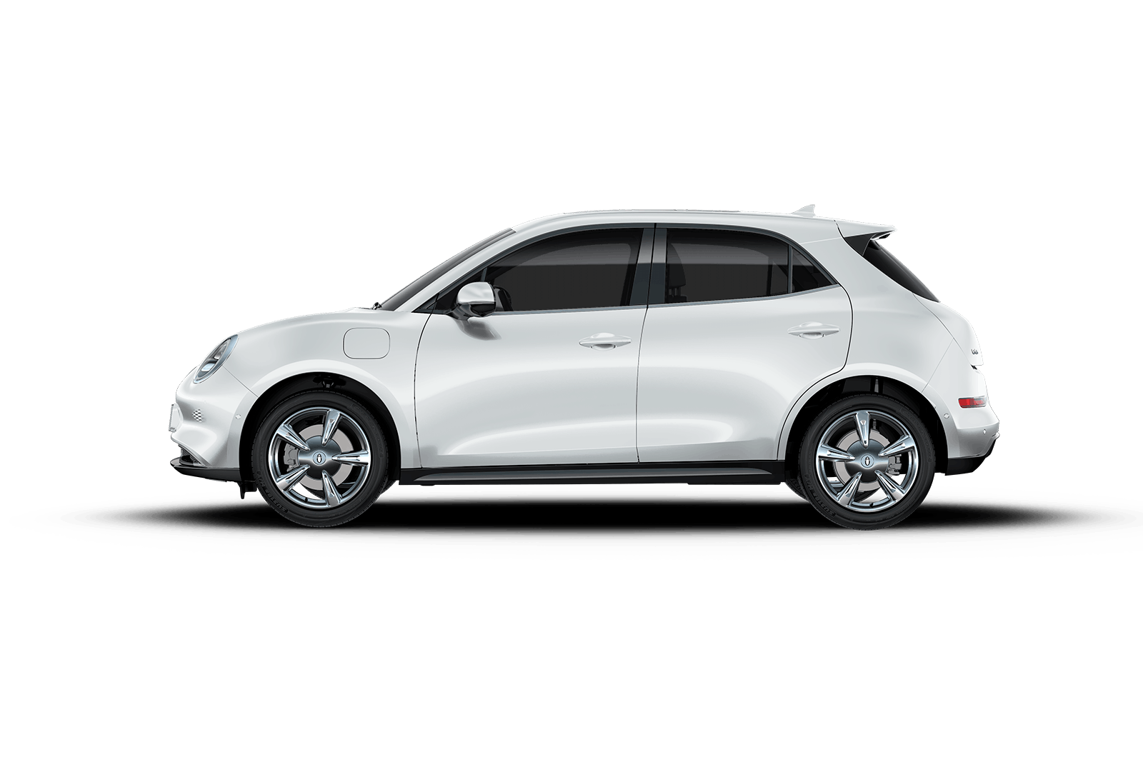 Арктический белый