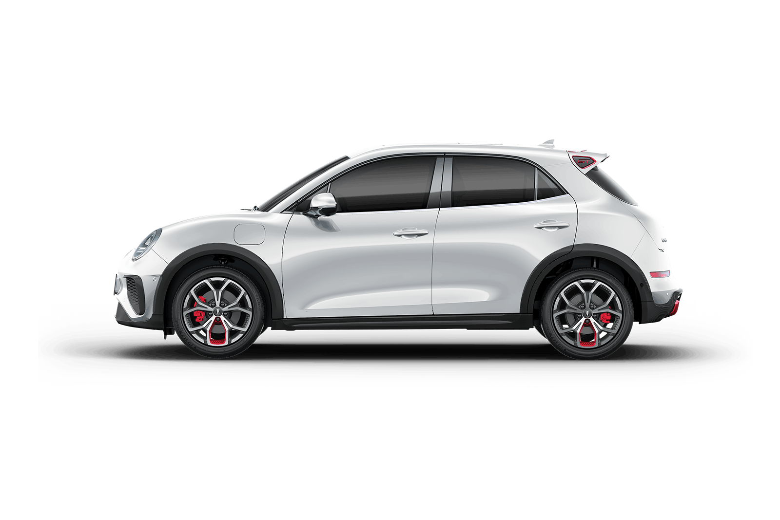 Арктический белый