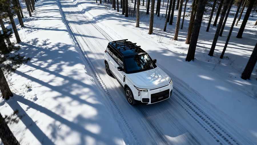 Адаптирован к российским условиям